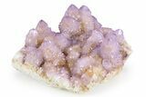 Sparkling Cactus Amethyst Crystal Cluster - South Africa #382319-1